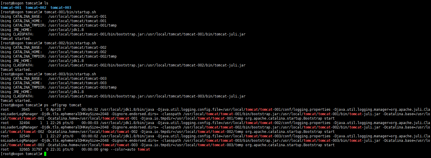 image-20200506103231431